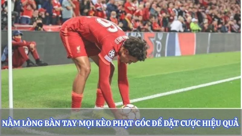 Nằm lòng bàn tay mọi kèo phạt góc để đặt cược hiệu quả